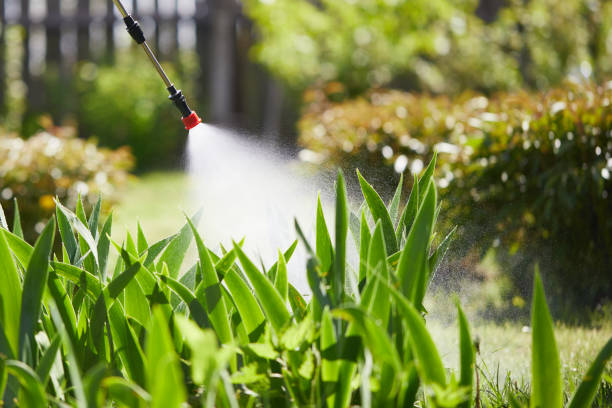 24/7 Emergency Ant Control experts in Thomson, GA